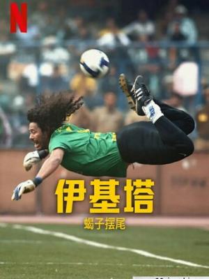 电视剧